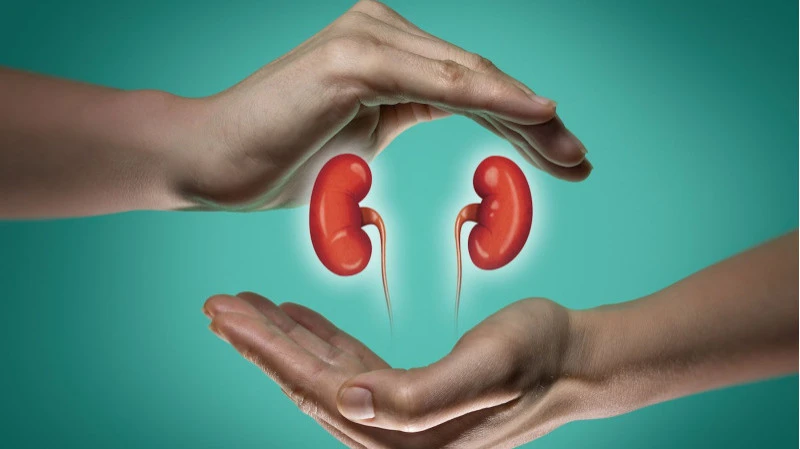 Kidney (Renal) Failure: Symptoms, Causes & Diagnosis